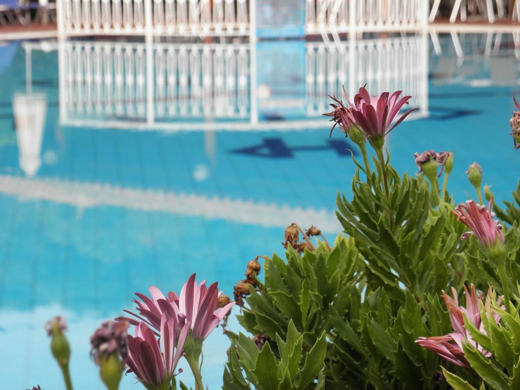 Hotel Petros Tsilivi  Exterior photo